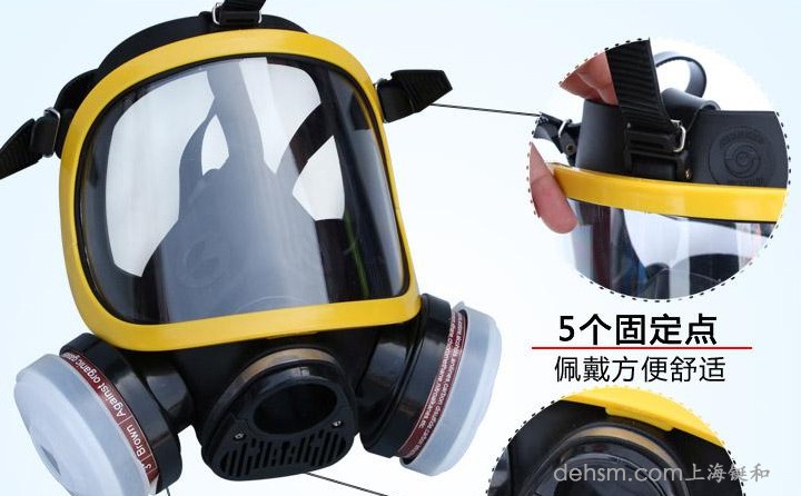 DH20154全面罩防毒面具細(xì)節(jié)圖1